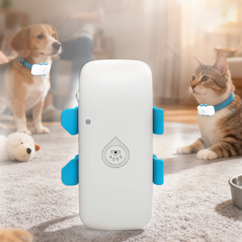 1763517917912923.jpg 网站.jpg